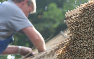 professional Barton Hill thatchers