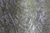 Barton Hill fibreglass roof work